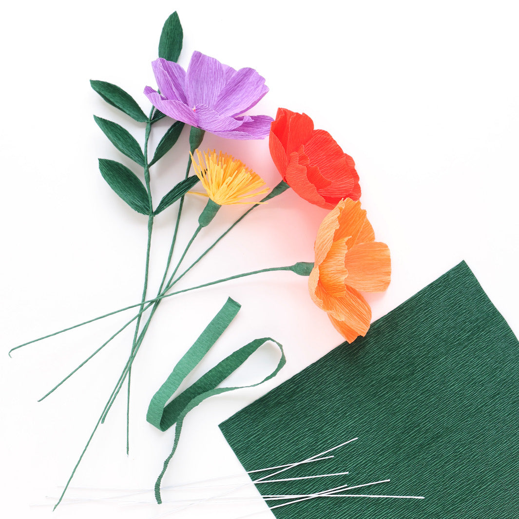 photo packshot du papier crépon vert (561) utilisé pour le kit bouquet de fleurs en crépon dans les tons jaunes, orange, rouges, roses, violets et vert foncé « tutti frutti » adeline klam