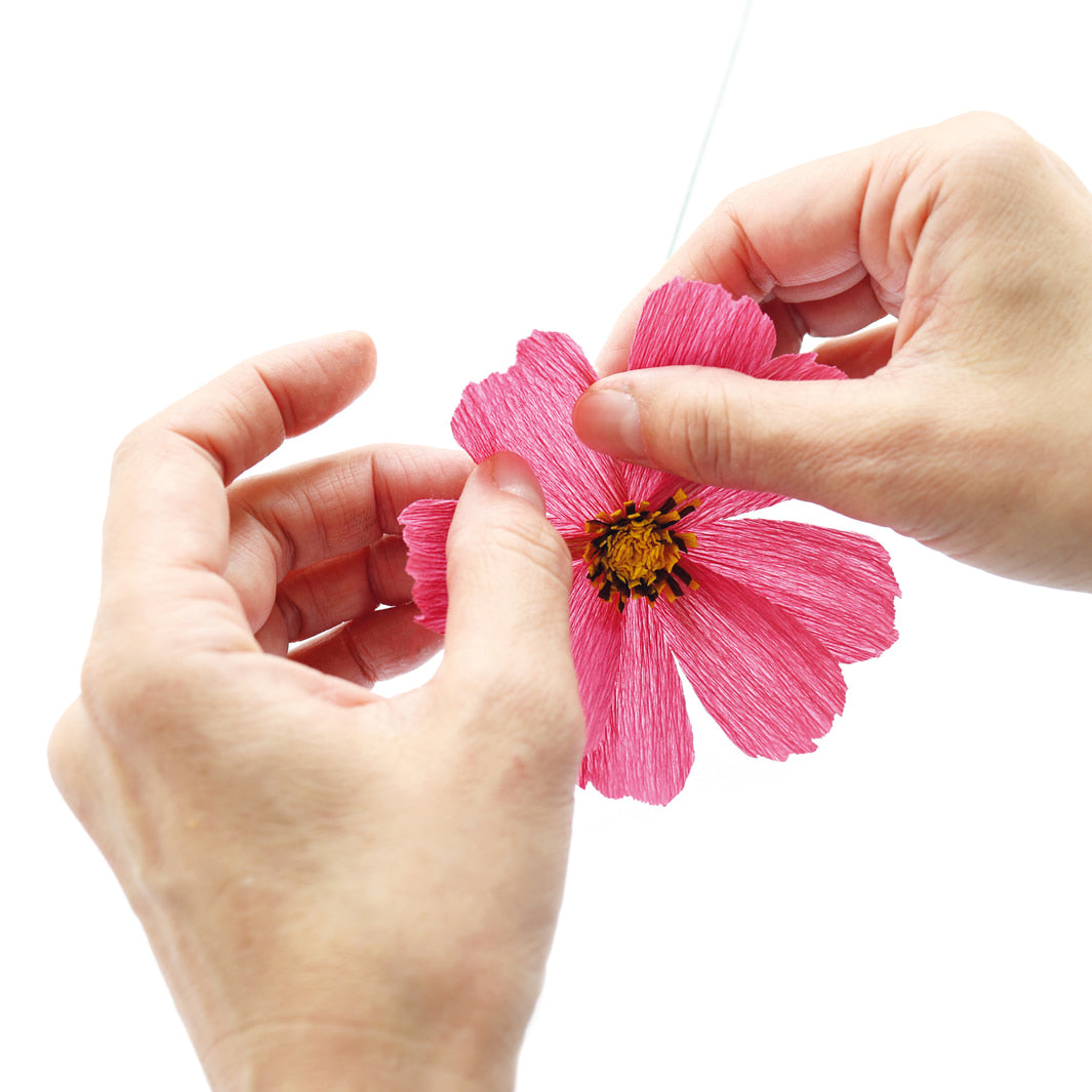 photo packshot de l'étape d'assemblage de la fleur du kit bouquet de cosmos en crépon dans les tons rose clair et foncé, corail, jaune et vert moyen adeline klam