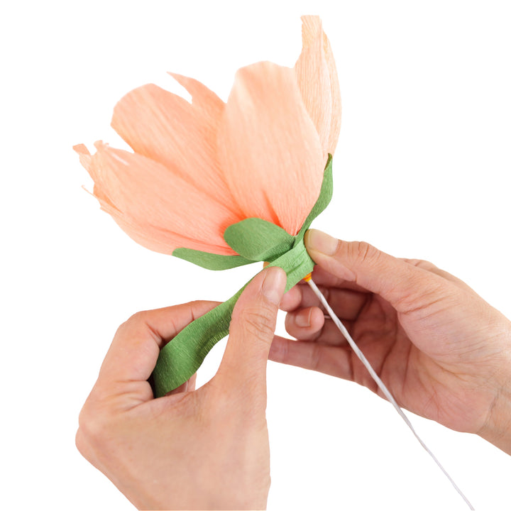 photo packshot d'un exemple d'utilisation des tiges épaisses pour la fabrication de pivoines en crépon adeline klam