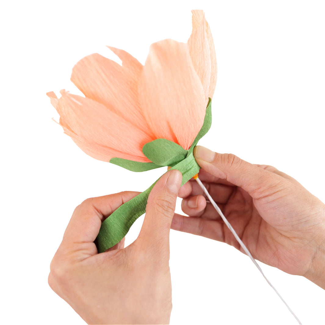 photo packshot d'un exemple d'utilisation des tiges épaisses pour la fabrication de pivoines en papier crépon adeline klam