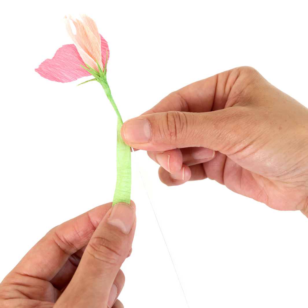 photo packshot d'un exemple d'utilisation des tiges fines pour la fabrication de pois de senteur en papier crépon adeline klam