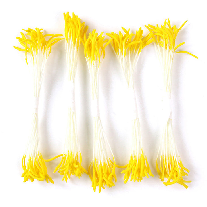 photo packshot de face du lot de 5 grands fagots de pistils de fleurs jaunes et blancs (158)