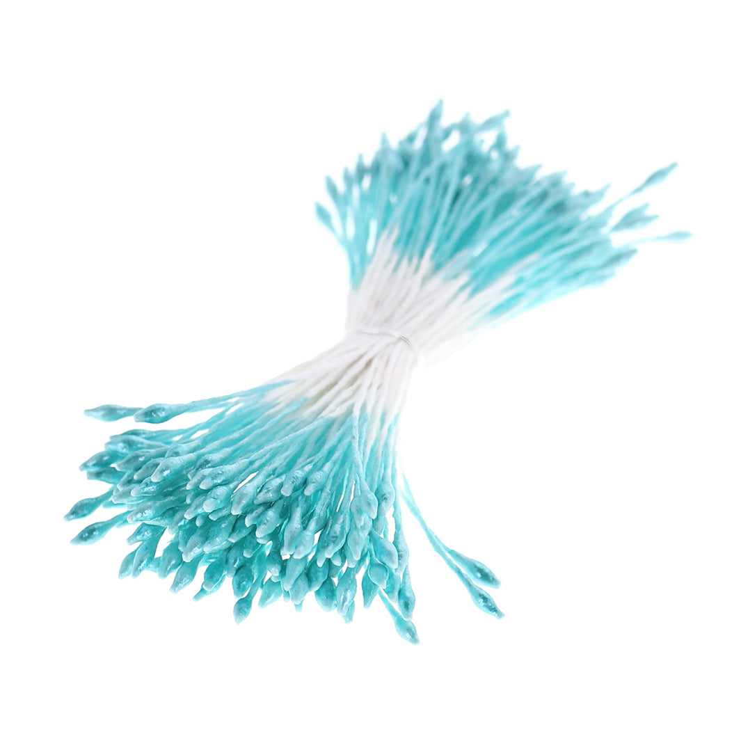 photo packshot du fagot de pistils de fleurs bleu ciel et blancs (1070)