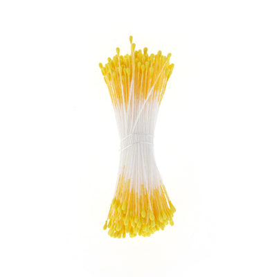 photo packshot du fagot de pistils de fleurs jaune et blanc 1055