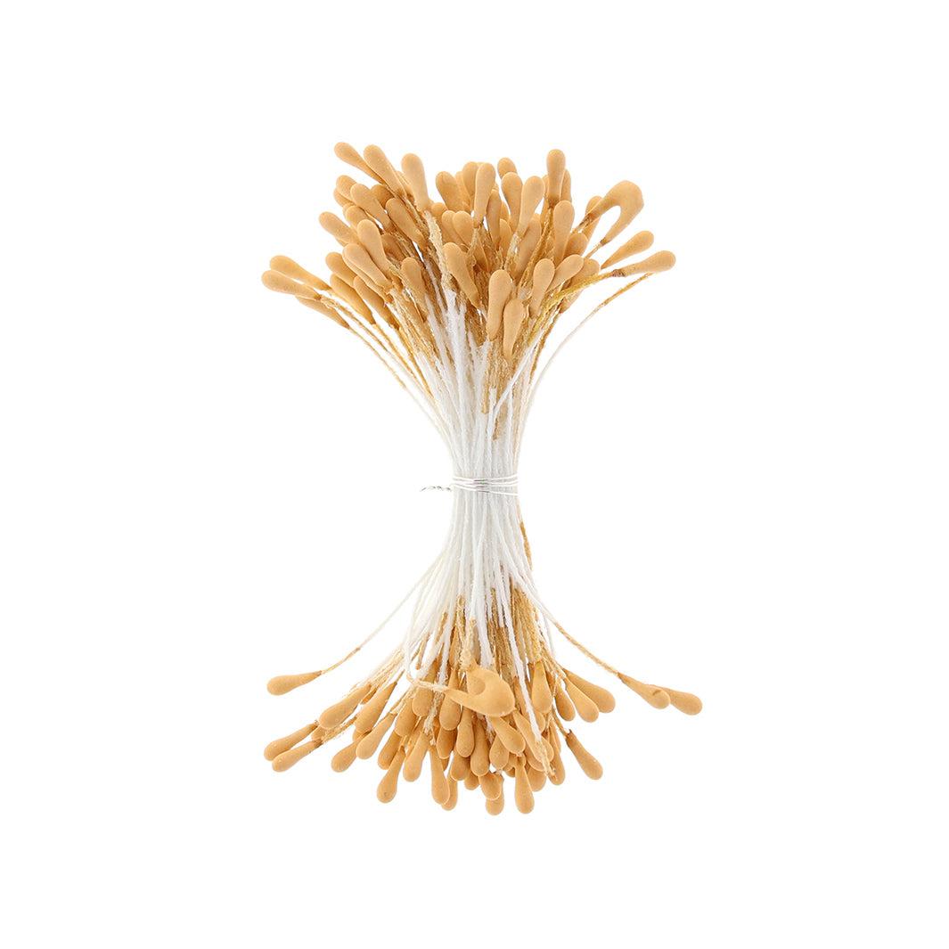 photo packshot du fagot de pistils de fleurs jaune caramel et blancs (1076)