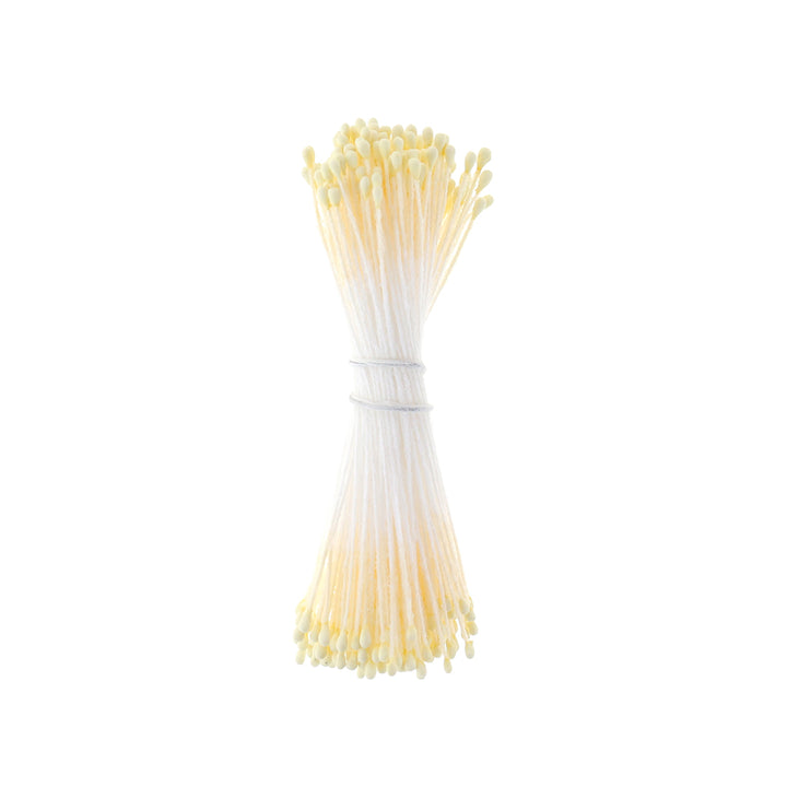 photo packshot du fagot de pistils de fleurs jaune clair et blancs 1058