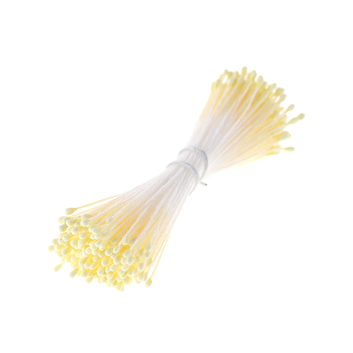photo packshot du fagot de pistils de fleurs jaune clair et blancs 1058