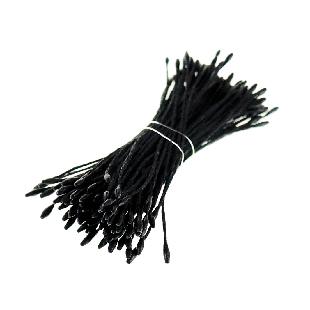 photo packshot du fagot de pistils de fleurs noir métallisé 1067