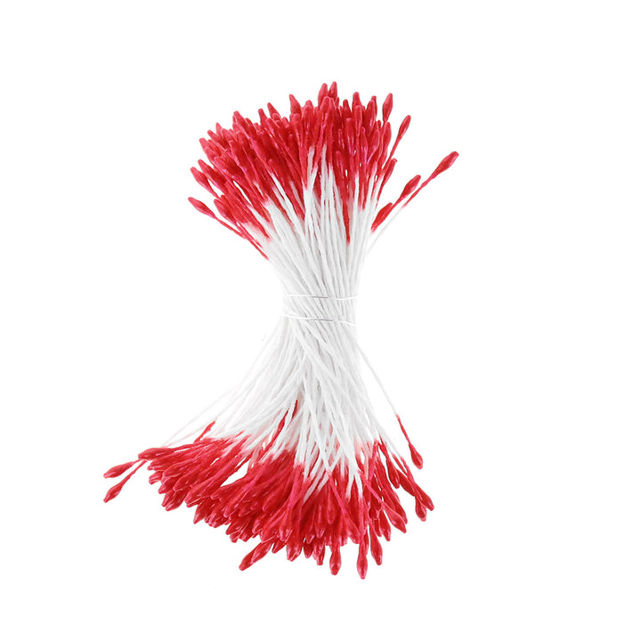 photo packshot du fagot de pistils de fleurs rouge métallisé et blancs 1063