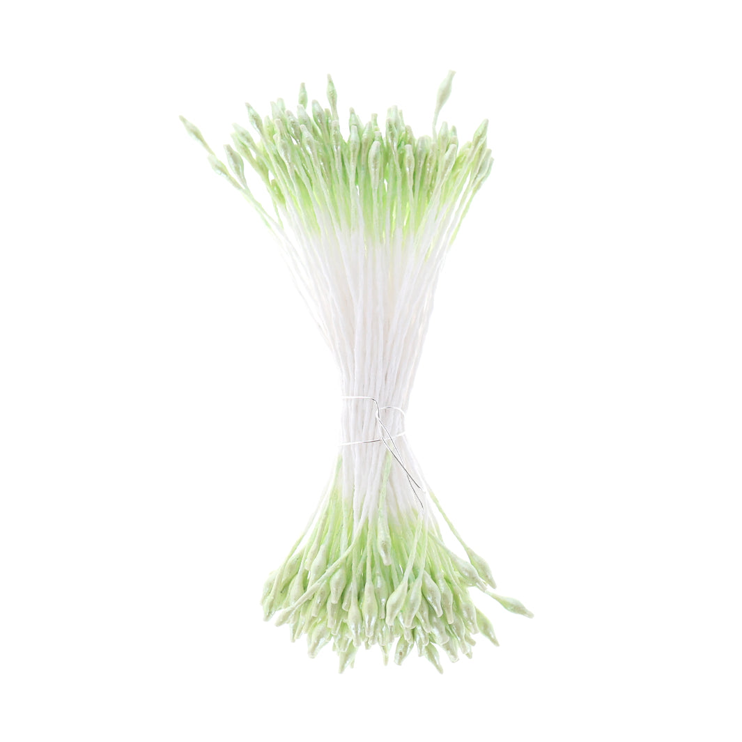 photo packshot du fagot de pistils de fleurs vert amande et blancs (1068)