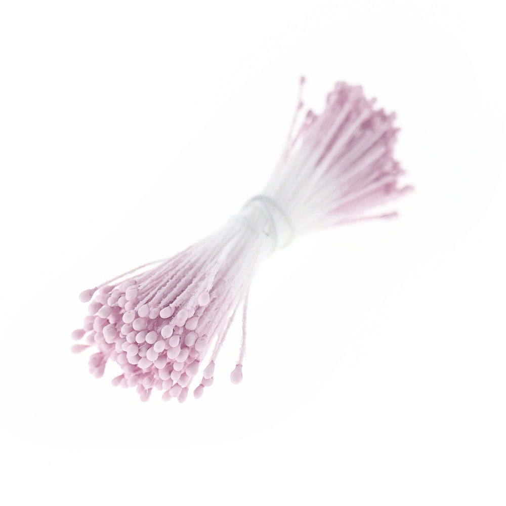 photo packshot du fagot de pistils de fleurs rose lilas et blancs 1071