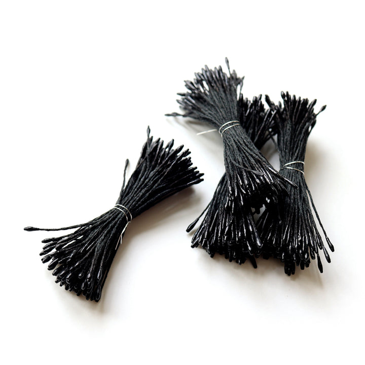photo packshot de lots de fagots de pistils de fleurs noir brillant (1080)