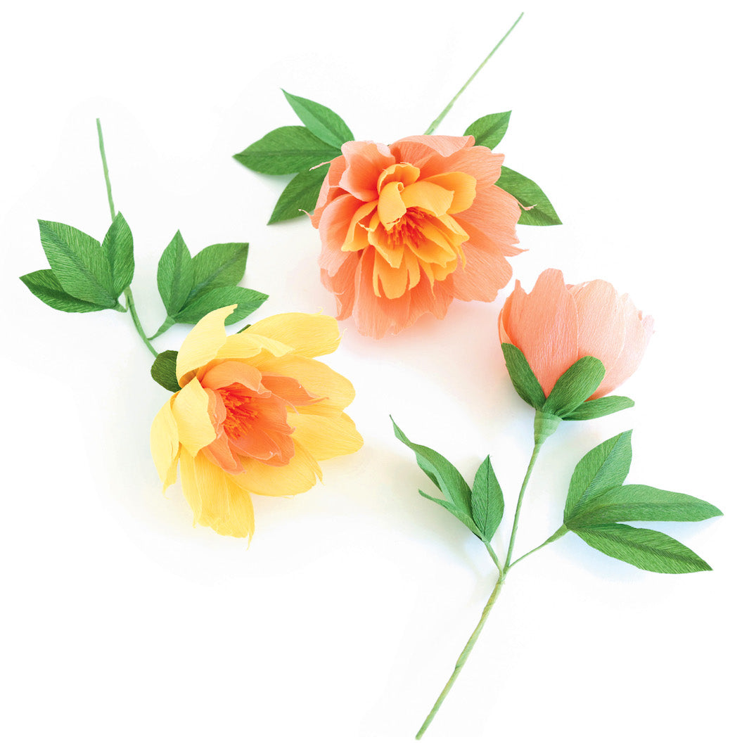 photo packshot des pivoines réalisées posées du kit bouquet de pivoines en crépon dans les tons jaunes, orange, saumons et verts adeline klam