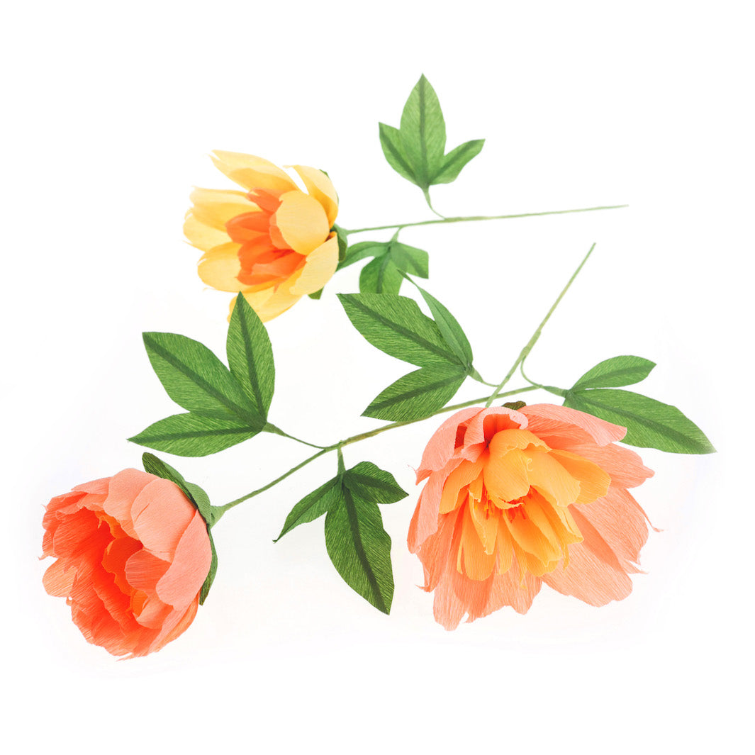 photo packshot des pivoines réalisées posées du kit bouquet de pivoines en crépon dans les tons jaunes, orange, saumons et verts adeline klam