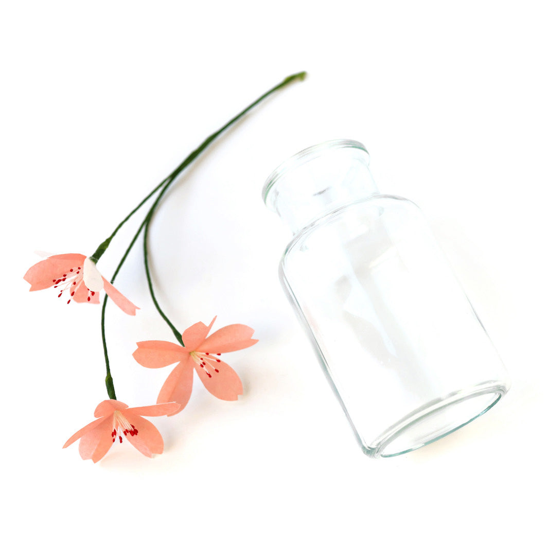 photo packshot d'un vase en verre transparent petit modèle