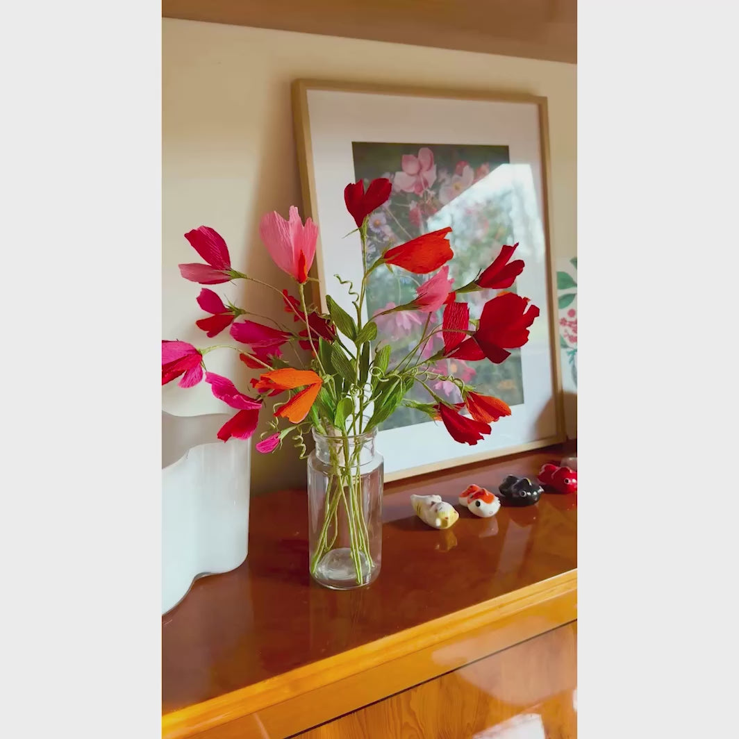 vidéo d'ambiance décorative des pois de senteur montés du kit bouquet pois de senteur dans les tons rouge carmin,, prune, roses, orange et vert moyen « passion » adeline klam