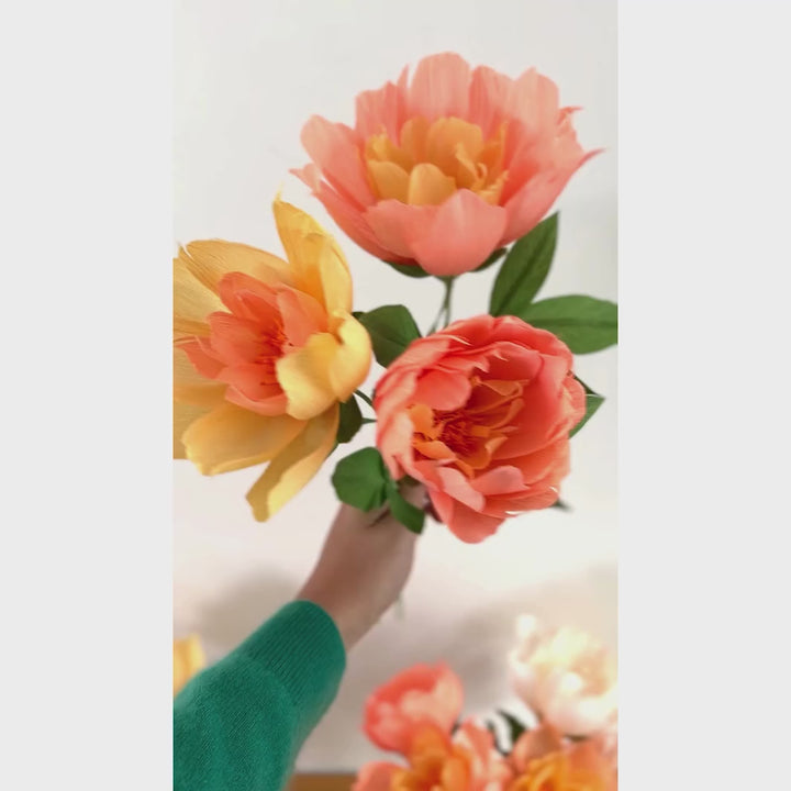 vidéo d'ambiance des pivoines réalisées dans un vase du kit bouquet de pivoine jaune, orange, saumon et vert adeline klam