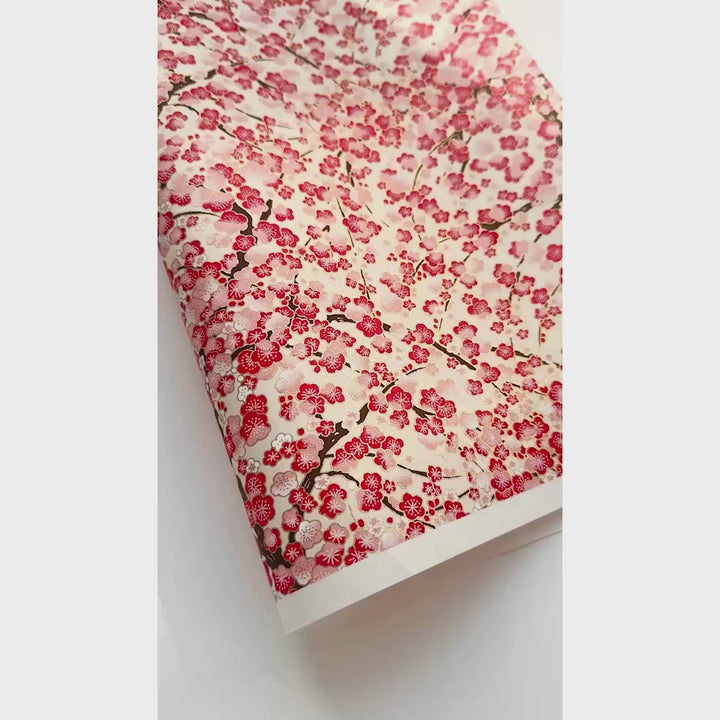vidéo de démonstration du papier japonais yuzen chiyogami aux motifs de fleurs de prunier dans les tons crème, rouges et roses adeline klam (M593)