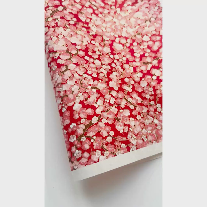 vidéo de démonstration du papier japonais yuzen chiyogami aux motifs de fleurs de prunier dans les tons rouges, roses et crème adeline klam (M446)