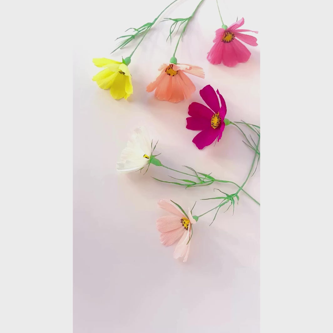 vidéo d'ambiance des cosmos réalisés du kit bouquet de cosmos en crépon dans les tons rose clair et foncé, corail, jaune et vert moyen adeline klam