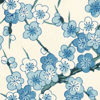 Papier Japonais - Grande fleurs - Bleu Crème - M645-Papier japonais-AdelineKlam