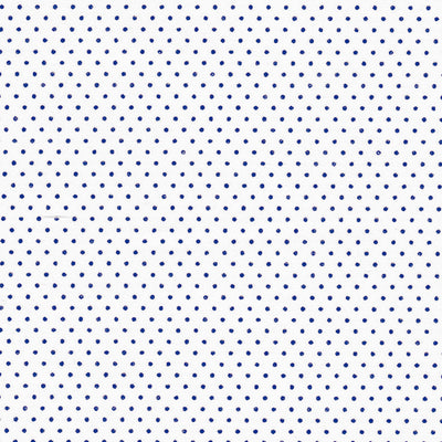 Tissu japonais Pointillés bleu fond blanc - T115