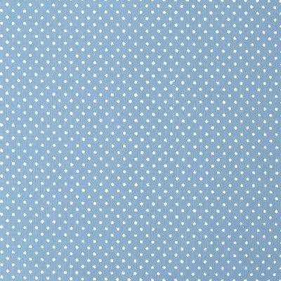 Tissu japonais Pointillés blanc fond bleu ciel HOKKOH - T021