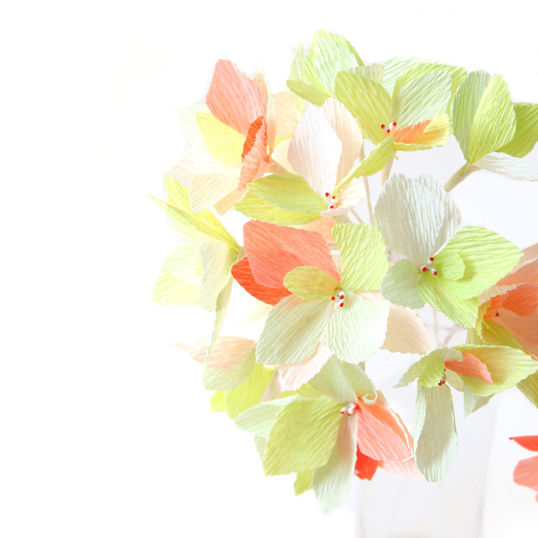 Hydrangea Bouquet Kit in Crepe - Pink, Coral, Lilac, Yellow and Acid Green - Rainbow