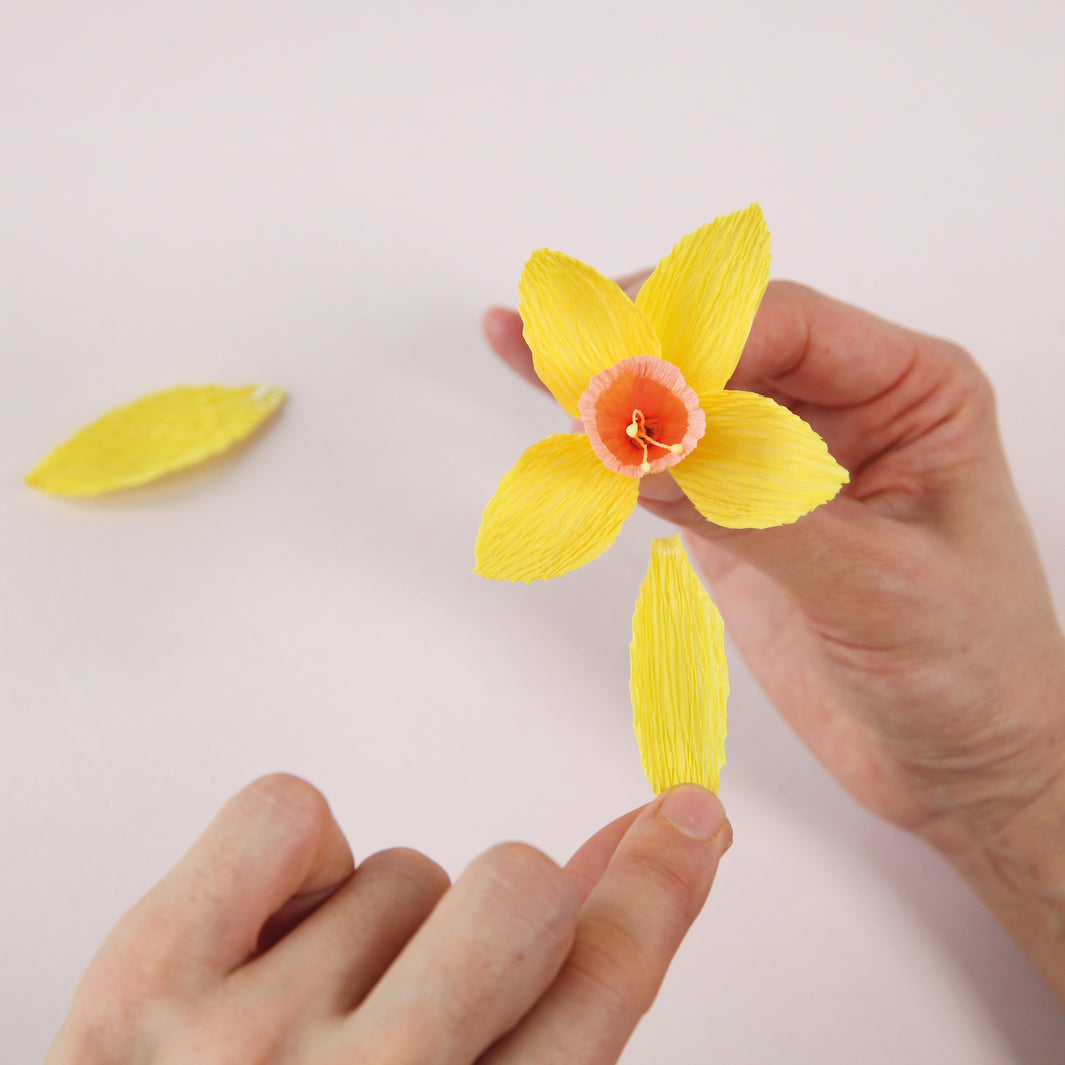 Kit Bouquet de Jonquilles en Crépon - Jaune, Orange, Corail et Vert