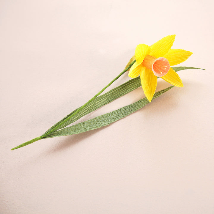 Kit Bouquet de Jonquilles en Crépon - Jaune, Orange, Corail et Vert