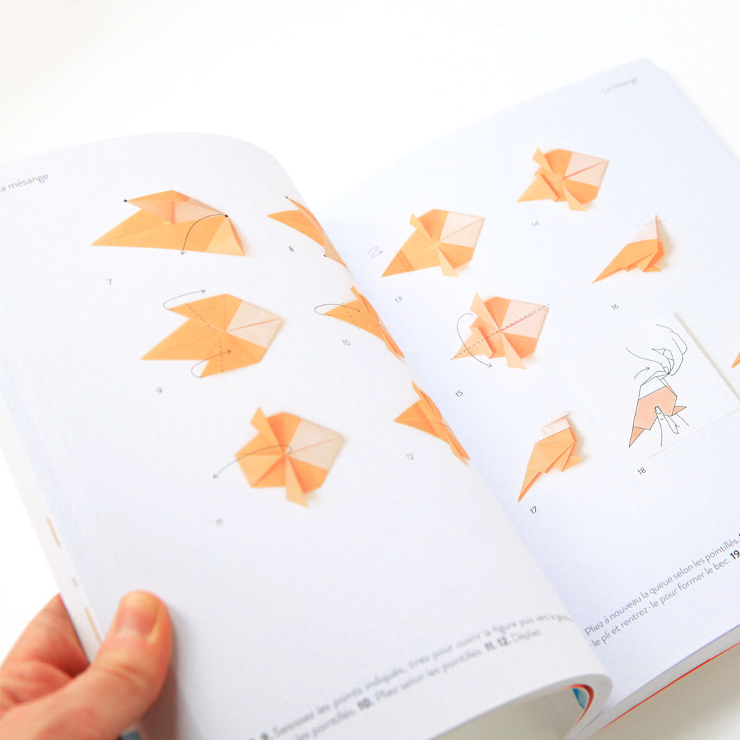 Book - Origami Like Magic - Volume 1