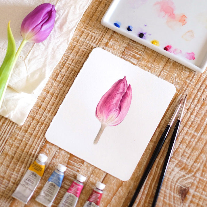 Atelier Aquarelle Tulipe - Vendredi 13 Juin 2025 - 14h30