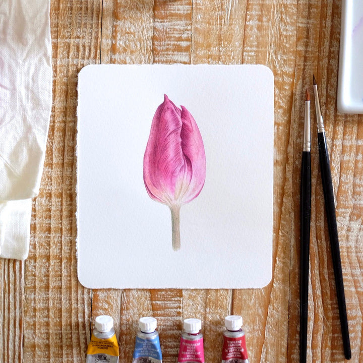 Atelier Aquarelle Tulipe - Vendredi 13 Juin 2025 - 14h30