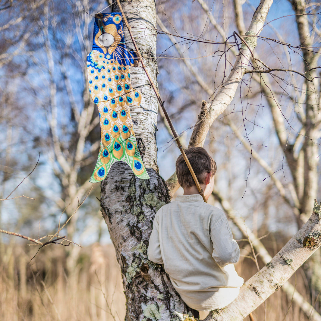 Koinobori Madame Mo - Peacock - S