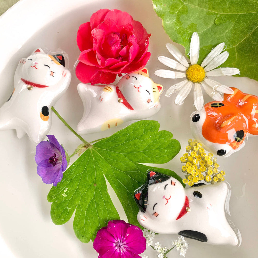 photo d'ambiance des poissons et des chats flottant en céramique