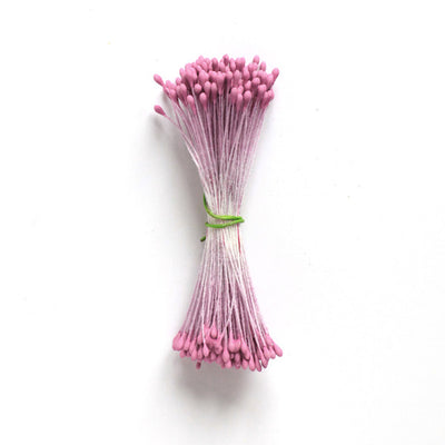 Pistils de fleur Fuchsia