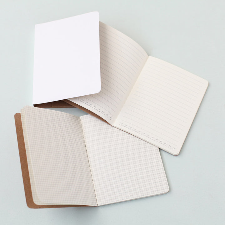 Set of 2 small notebooks - Lined and Squared